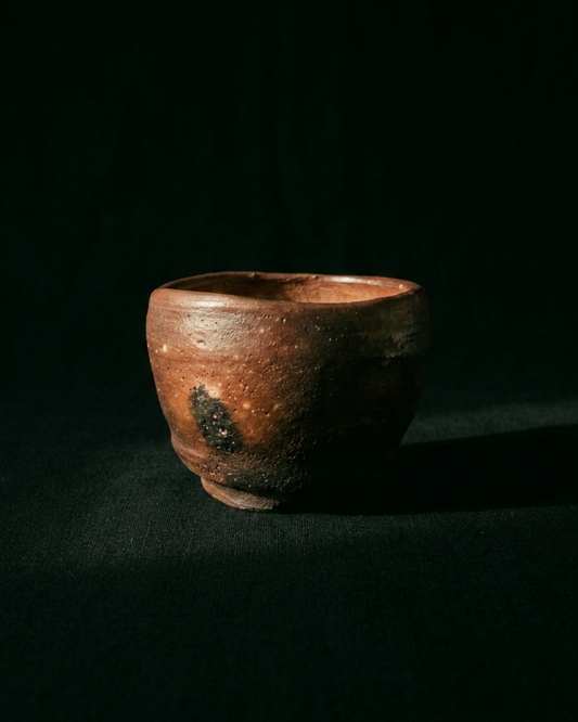 The Chaos of the Kiln - Yohen Guinomi by Toyo Kaneshige